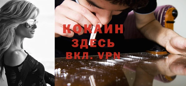 mix Ельня