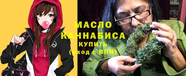 mix Ельня
