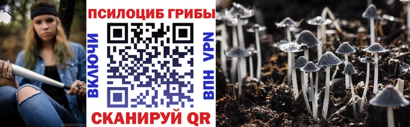 Псилоцибиновые грибы GOLDEN TEACHER  Купить закладки  Суджа 