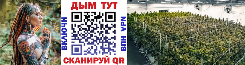 Канабис ГИДРОПОН Суджа